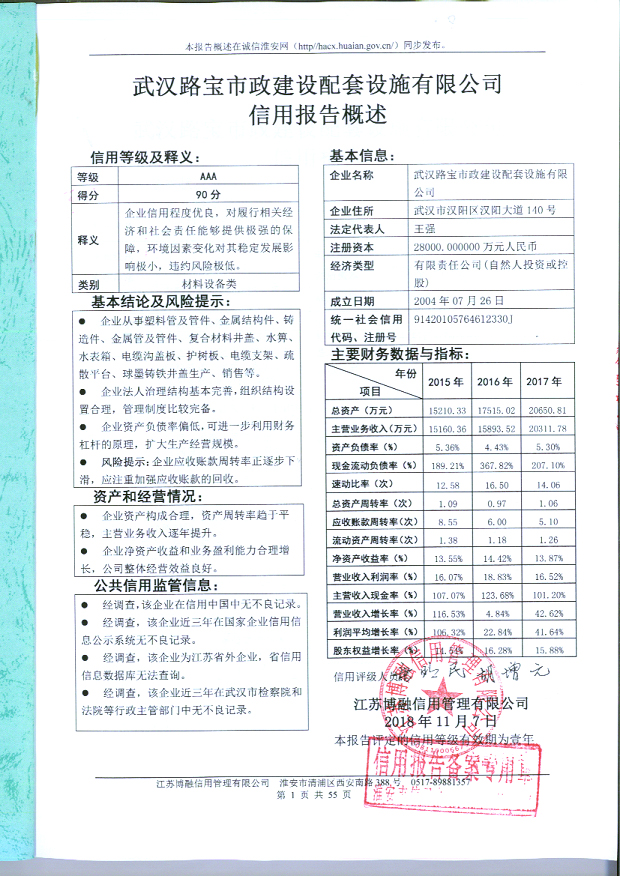 武汉路宝市政建设配套设施有限公司